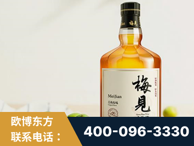 兴义-梅见青梅酒